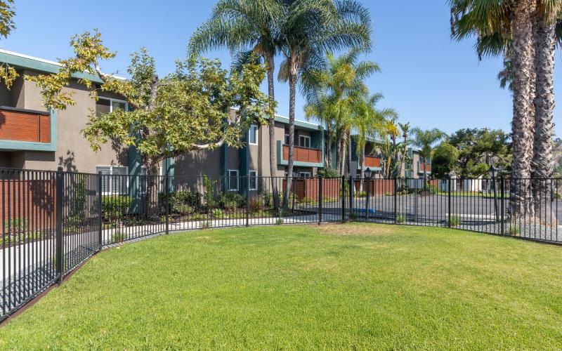 a fenced in yard with palm trees and houses in the background